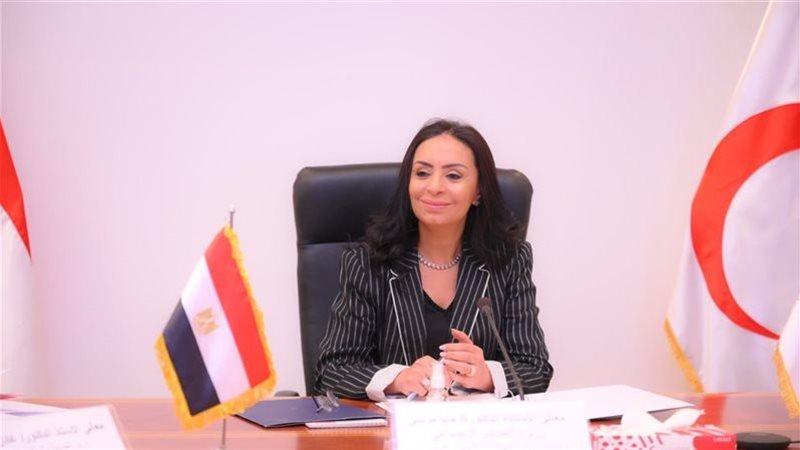 وزيرة التضامن الاجتماعي 