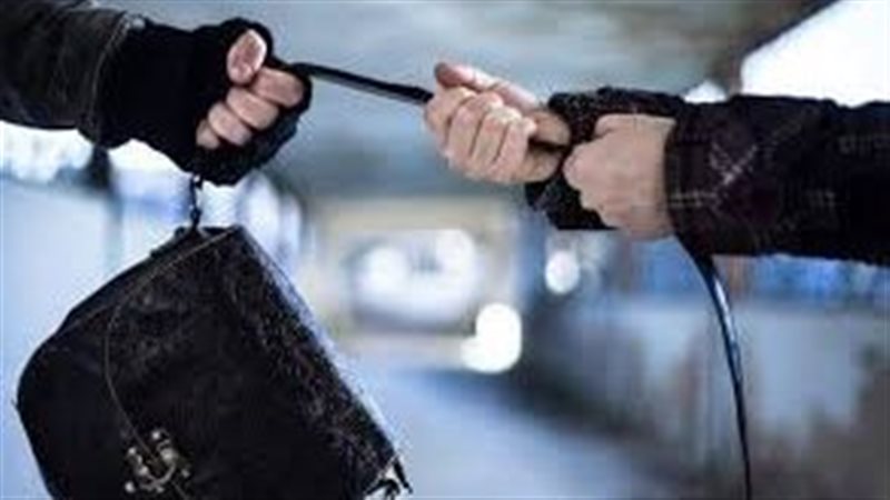 سرقة حقيبة أرشيفية 