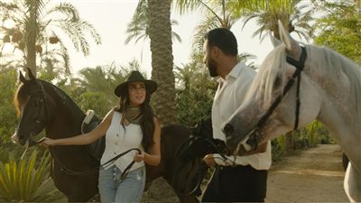 لا أحد آمن.. صراع النفوذ والخيانة يبلغ ذروته في الحلقات الأخيرة من 