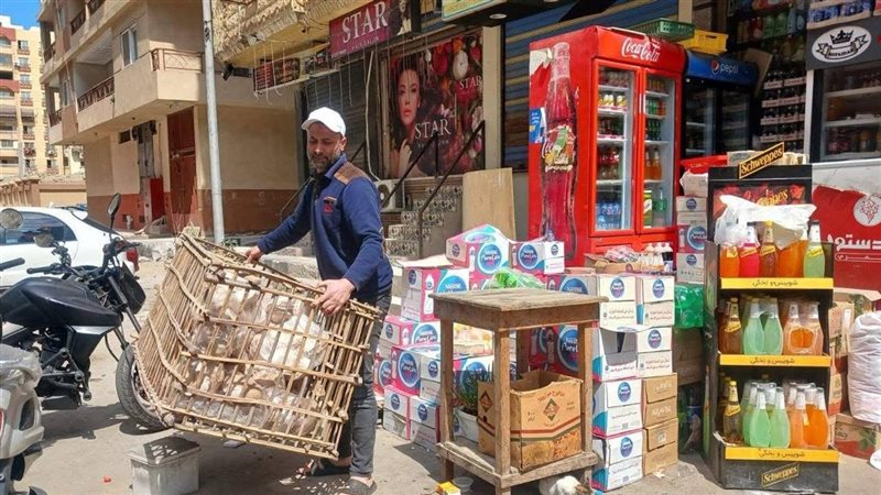 حملة مكبرة 