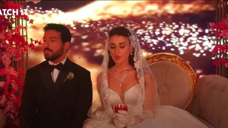 مسلسل وتقابل حبيب