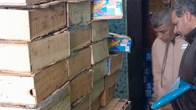 ضبط 2.2 طن رنجة غير صالحة للاستهلاك الآدمي قبل طرحها في الأسواق بالغربية