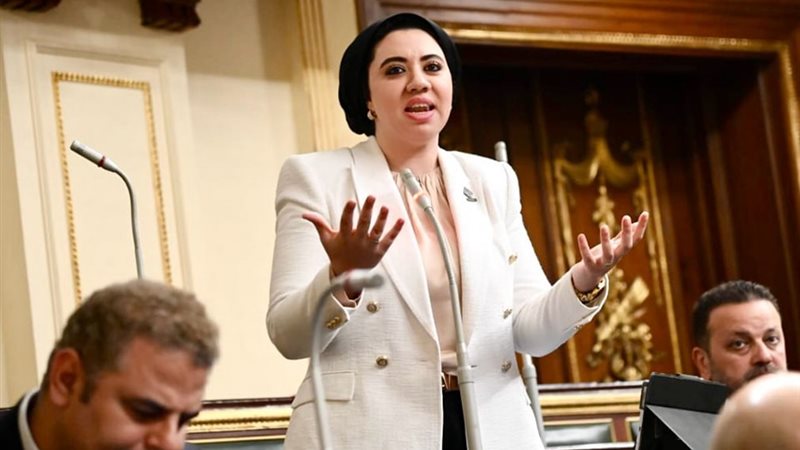 النائبة أميرة صابر 