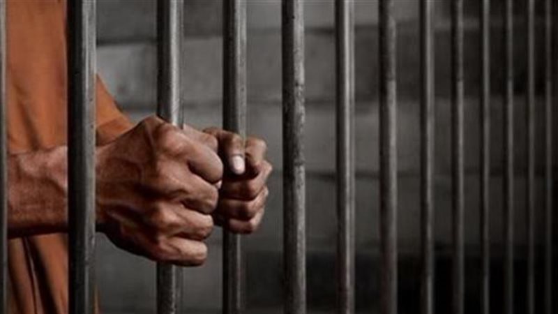 محاكمة 3 عاطلين ارشيفية 