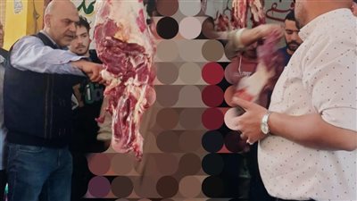 ضبط 2 طن لحوم ودواجن وأسماك غير صالحة للاستهلاك الآدمى بالمنوفية