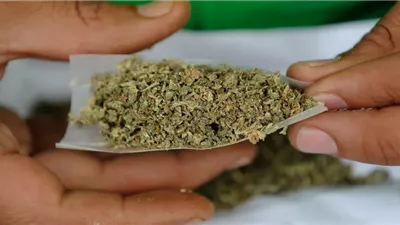 جمارك مطار الغردقة تضبط محاولة تهريب كميات من مخدر الماريجوانا
