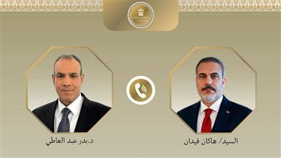 وزير الخارجية يناقش مع نظيره التركي جهود مصر في وقف إطلاق النار بغزة