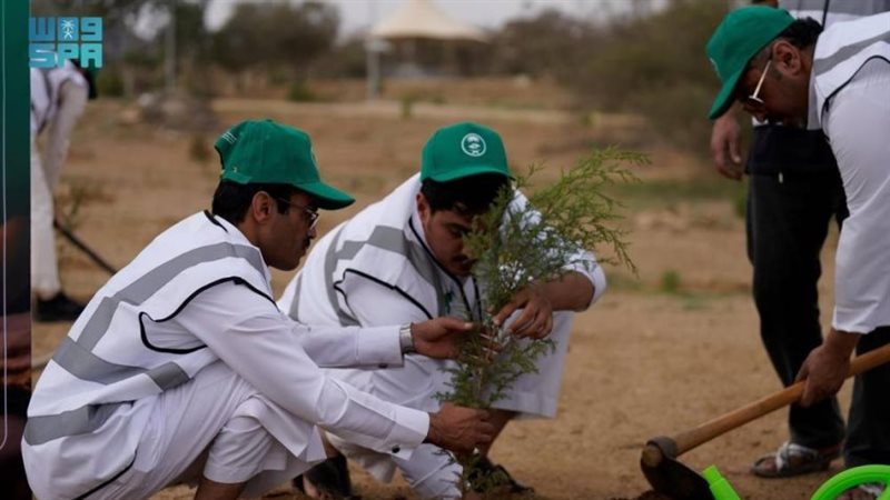 مبادرة السعودية خضراء
