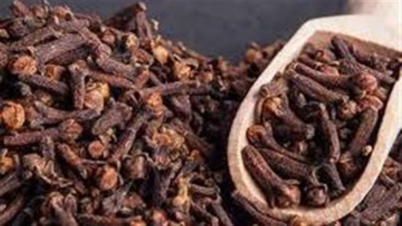 القرنفل