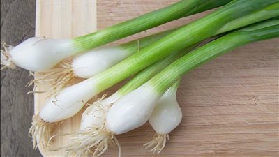 البصل الأخضر.. إضافة صحية لوجبة الفسيخ والرنجة في عيد الفطر