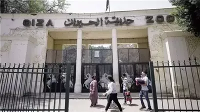 مدير 