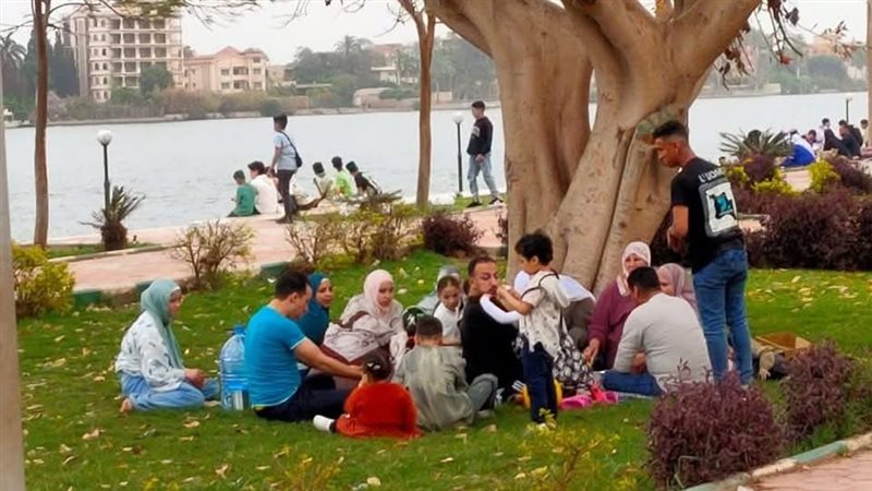 القناطر الخيرية