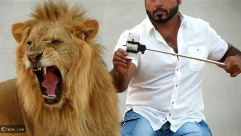 ترويض الأسود