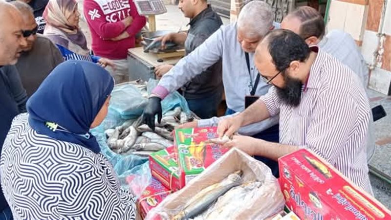 صورة توضيحية 