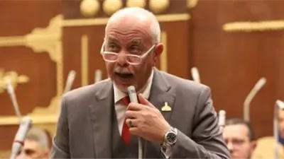 عضو بـ«الشيوخ»: اقتحام المسجد الأقصى انتهاك صارخ للقوانين والأعراف الدولية