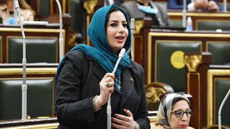 النائبة آيات الحداد 