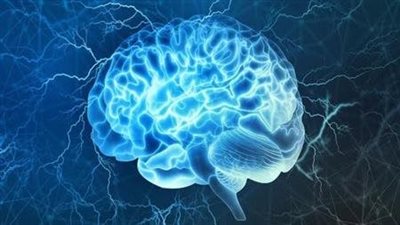 تدمّر دماغك.. 10 أطعمة يجب تجنبها لحماية الذاكرة وصحة الدماغ
