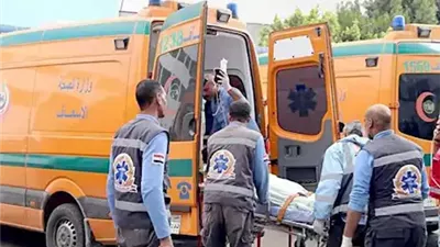 حبة سوس القمح القاتلة تنهي حياة سيدة ونجلتيها في الفيوم