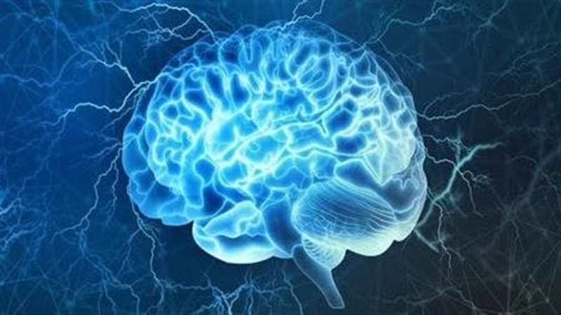 أطعمة تدمّر الدماغ