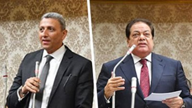 النائب أحمد سعد والنائب محمد أبو العنين