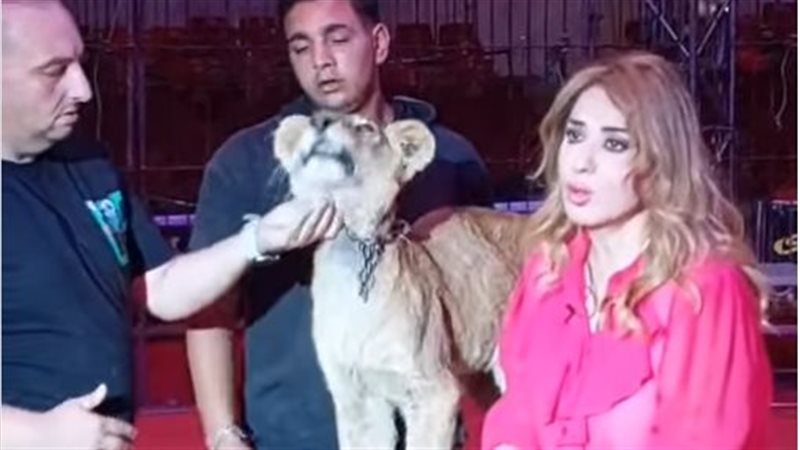 مادلين طبر