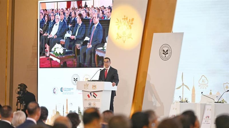 وزير الاستثمار