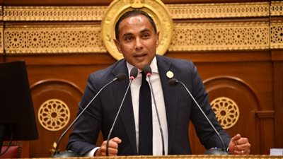 عضو «الشيوخ»: دراسة تطوير منظومة الإفراج الجمركي تعزز وصول صادراتنا لدول العالم