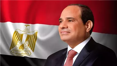 الرئيس السيسي: مصر لديها عمالة تكلفتها لا تقارن بأي مكان آخر 