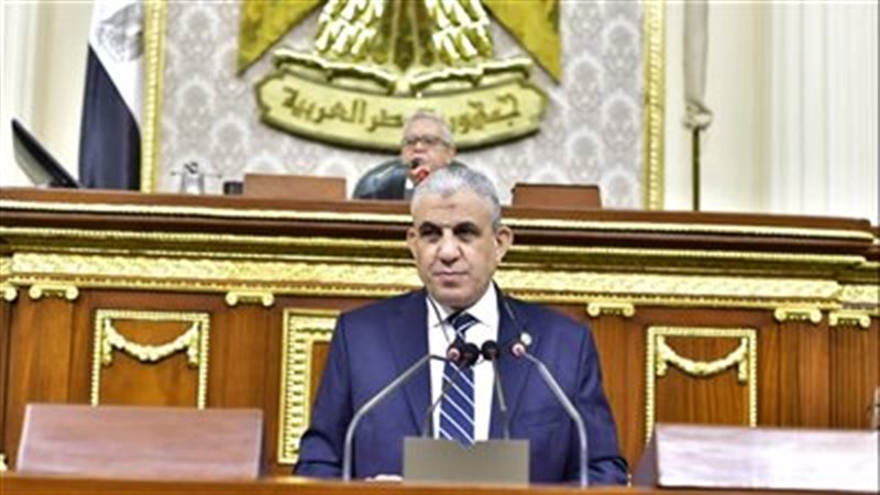 النائب عادل عبد الفضيل 