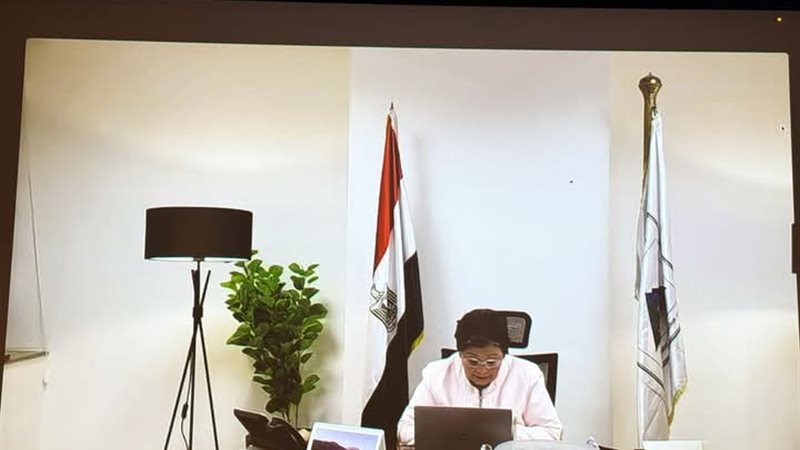 الدكتورة عبلة الألفي 