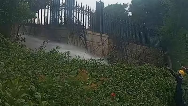 حريق أشجار بسور فندق