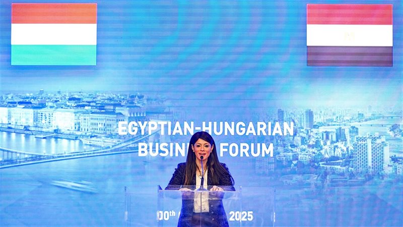 وزير التخطيط