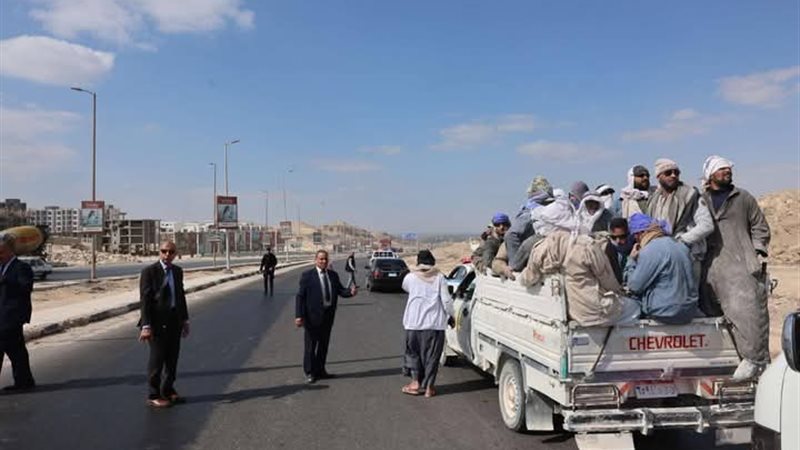 صورة توضيحية 