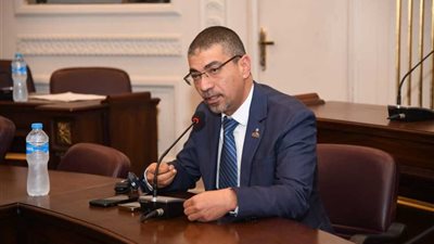 «صحة الشيوخ» : موقف الرئيس الإندونيسي يتسق مع الرؤية المصرية الرافضة للتهجير