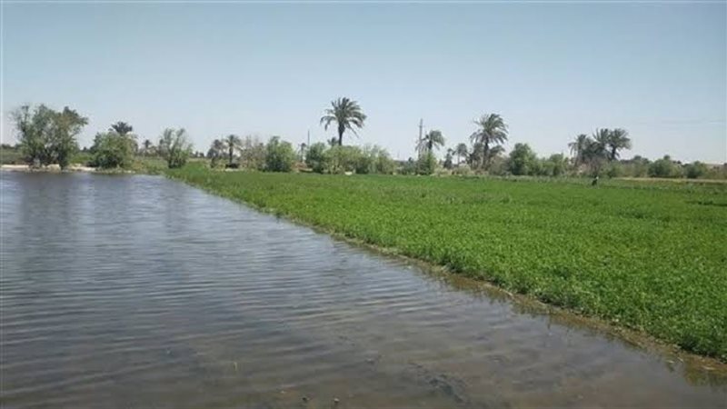 نهر النيل