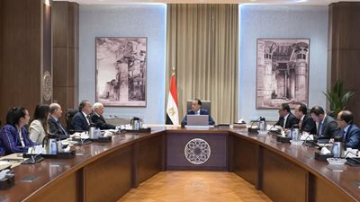 رئيس الوزراء يبحث مع أعضاء اللجنة الاستشارية للشئون السياسية الملفات الدولية