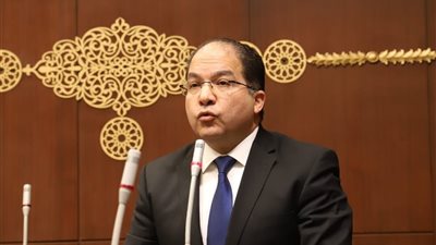 نائب: جولة الرئيس السيسي الخليجية تلعب دورًا في دعم الاقتصاد المصري