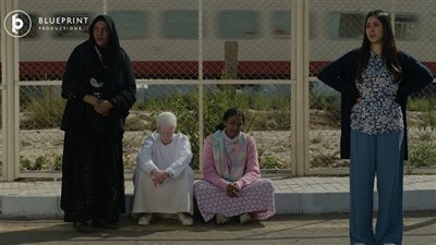 4 منها ذهبت لـ«ضي».. إعلان جوائز الدورة الرابعة لمهرجان هوليوود للفيلم العربي