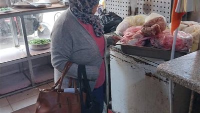 محافظ الدقهلية : ضبط 8 طن ملح ومخللات وذرة في حملات تموينية علي المراكز والقرى
