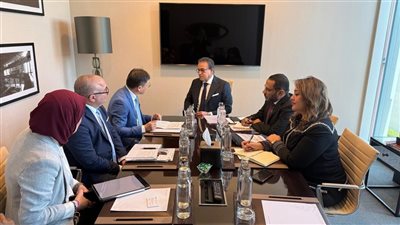 وزير الصحة يلتقي وفد «UNIDO» لبحث التعاون في صناعة الأدوية واللقاحات