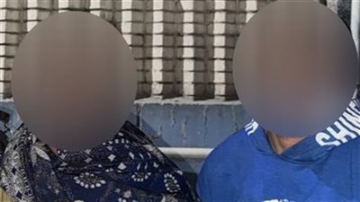 سقوط شخصين بتهمة تعذيب حصان لإجباره على سحب حمولة زائدة بالقاهرة