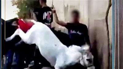 كشف ملابسات ذبح شخص «حمير» بقطعة أرض خالية في المنوفية.. فيديو