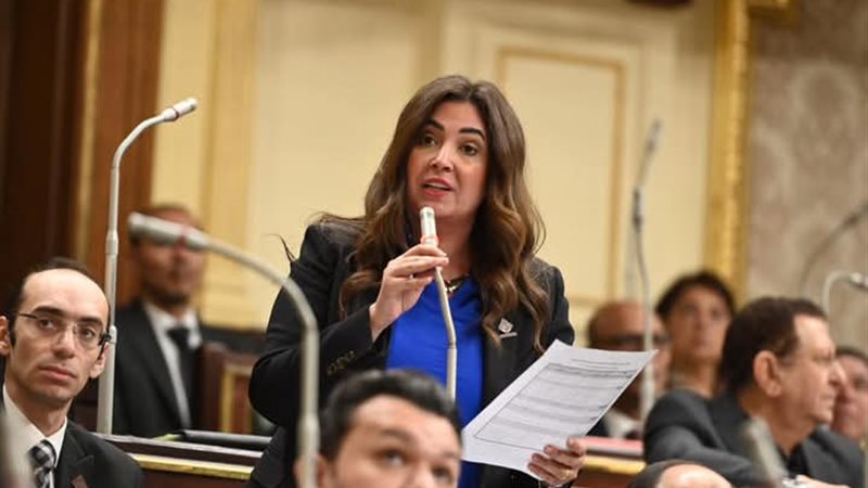 النائبة أميرة العادلي 