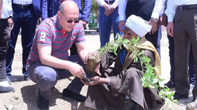جامعة سوهاج 