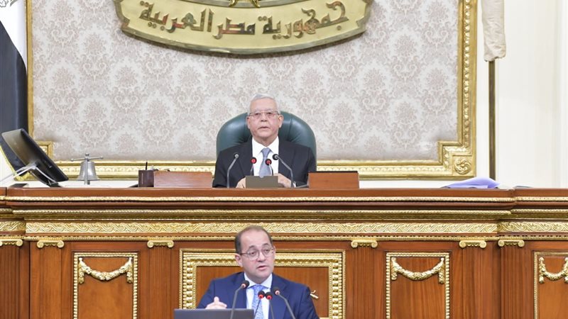 وزير المالية