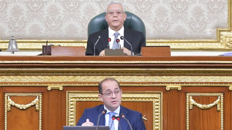 وزير المالية أمام مجلس النواب