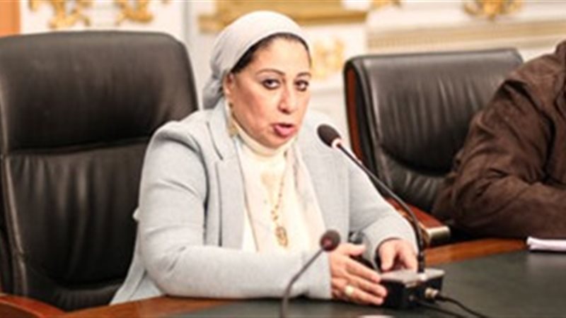 النائبة ليلى أبو اسماعيل