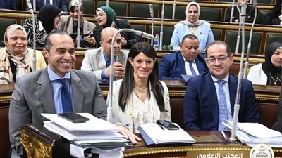 «النواب» يوافق على التقرير العام للحساب الختامي للموازنة العامة للدولة