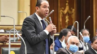 نائب: تخصيص 742.5 مليار للحماية الاجتماعية بالموازنة الجديدة انحياز للفئات الأولى بالرعاية