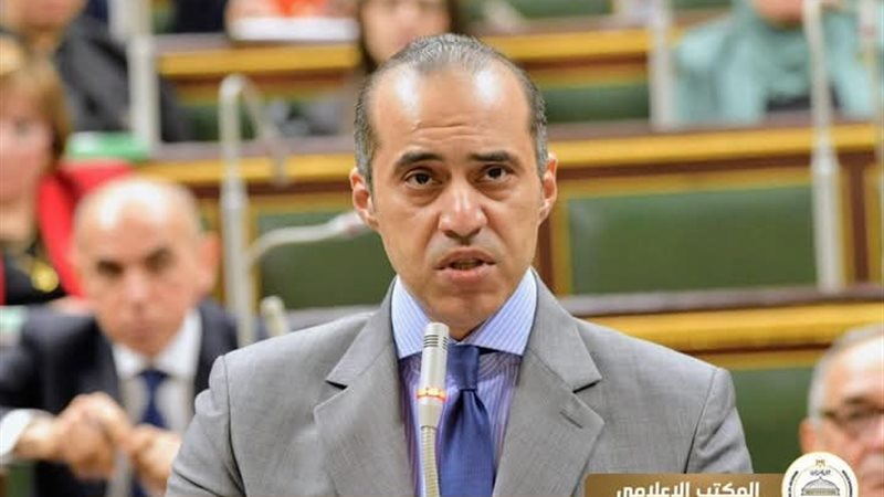 المستشار محمود فوزي